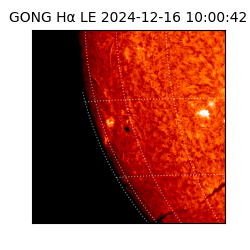 gong - 2024-12-16T10:00:42