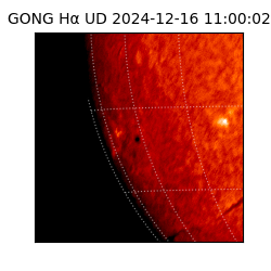 gong - 2024-12-16T11:00:02