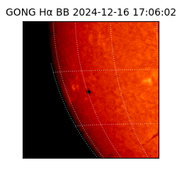 gong - 2024-12-16T17:06:02