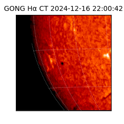 gong - 2024-12-16T22:00:42