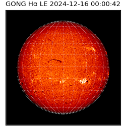 gong - 2024-12-16T00:00:42