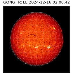 gong - 2024-12-16T02:00:42