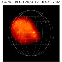 gong - 2024-12-16T03:07:02