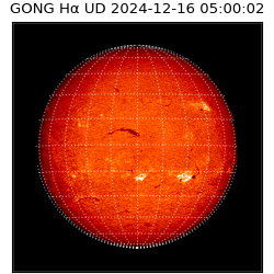 gong - 2024-12-16T05:00:02