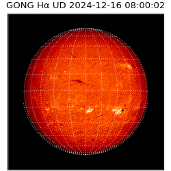 gong - 2024-12-16T08:00:02