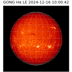 gong - 2024-12-16T10:00:42