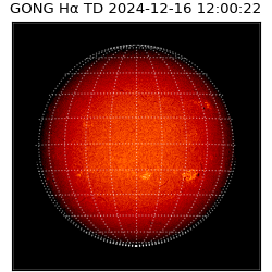 gong - 2024-12-16T12:00:22