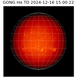 gong - 2024-12-16T15:00:22