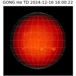 gong - 2024-12-16T16:00:22