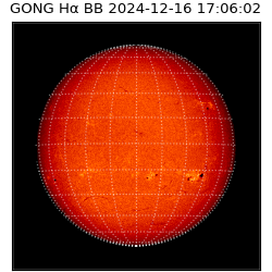 gong - 2024-12-16T17:06:02