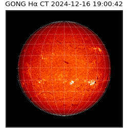 gong - 2024-12-16T19:00:42