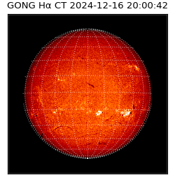 gong - 2024-12-16T20:00:42