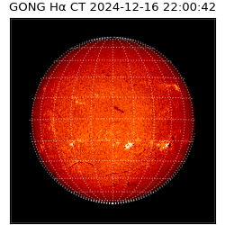 gong - 2024-12-16T22:00:42