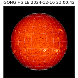 gong - 2024-12-16T23:00:42