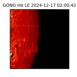 gong - 2024-12-17T02:00:42