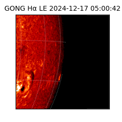 gong - 2024-12-17T05:00:42