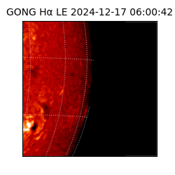 gong - 2024-12-17T06:00:42