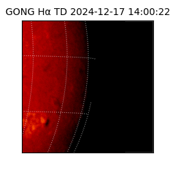 gong - 2024-12-17T14:00:22