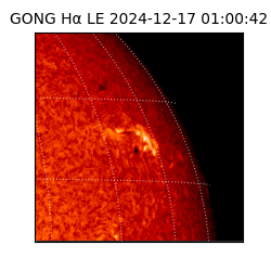 gong - 2024-12-17T01:00:42