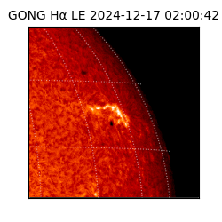 gong - 2024-12-17T02:00:42