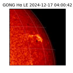 gong - 2024-12-17T04:00:42