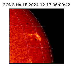 gong - 2024-12-17T06:00:42