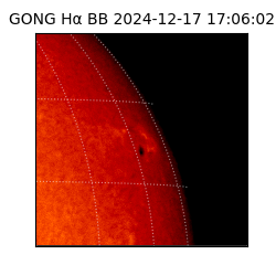 gong - 2024-12-17T17:06:02