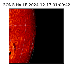 gong - 2024-12-17T01:00:42