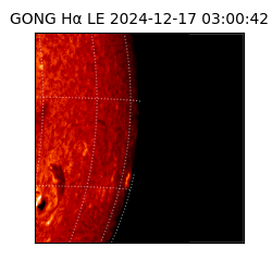 gong - 2024-12-17T03:00:42