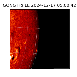 gong - 2024-12-17T05:00:42