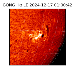 gong - 2024-12-17T01:00:42