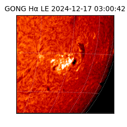 gong - 2024-12-17T03:00:42