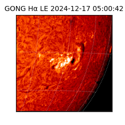 gong - 2024-12-17T05:00:42