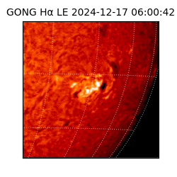 gong - 2024-12-17T06:00:42