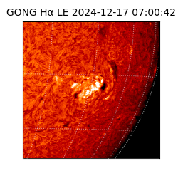 gong - 2024-12-17T07:00:42