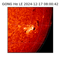 gong - 2024-12-17T08:00:42