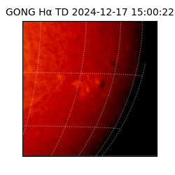 gong - 2024-12-17T15:00:22