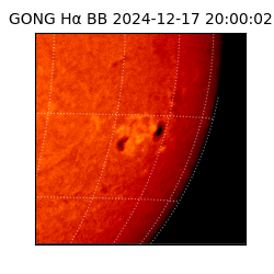 gong - 2024-12-17T20:00:02