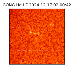 gong - 2024-12-17T02:00:42