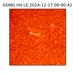 gong - 2024-12-17T06:00:42