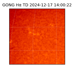 gong - 2024-12-17T14:00:22