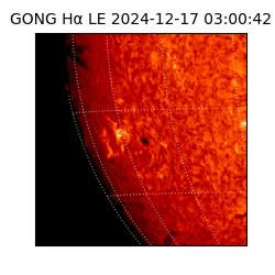 gong - 2024-12-17T03:00:42