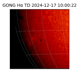 gong - 2024-12-17T10:00:22