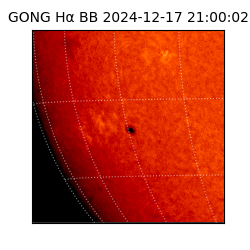 gong - 2024-12-17T21:00:02