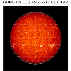 gong - 2024-12-17T01:00:42
