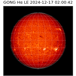 gong - 2024-12-17T02:00:42