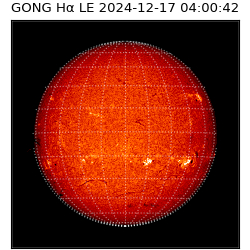 gong - 2024-12-17T04:00:42