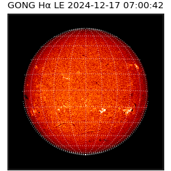 gong - 2024-12-17T07:00:42