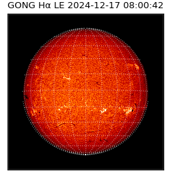 gong - 2024-12-17T08:00:42