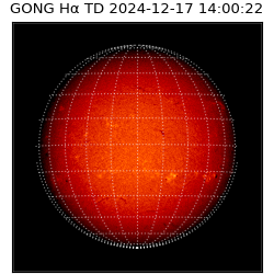 gong - 2024-12-17T14:00:22